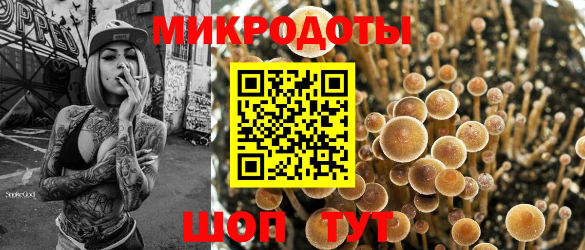 Галлюциногенные грибы прущие грибы Чебаркуль
