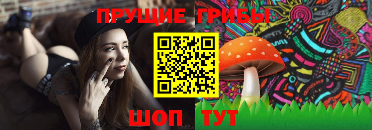 дарнет шоп  Галлюциногенные грибы GOLDEN TEACHER  Галлюциногенные грибы мухоморы  Вход с VPN  Чебаркуль 
